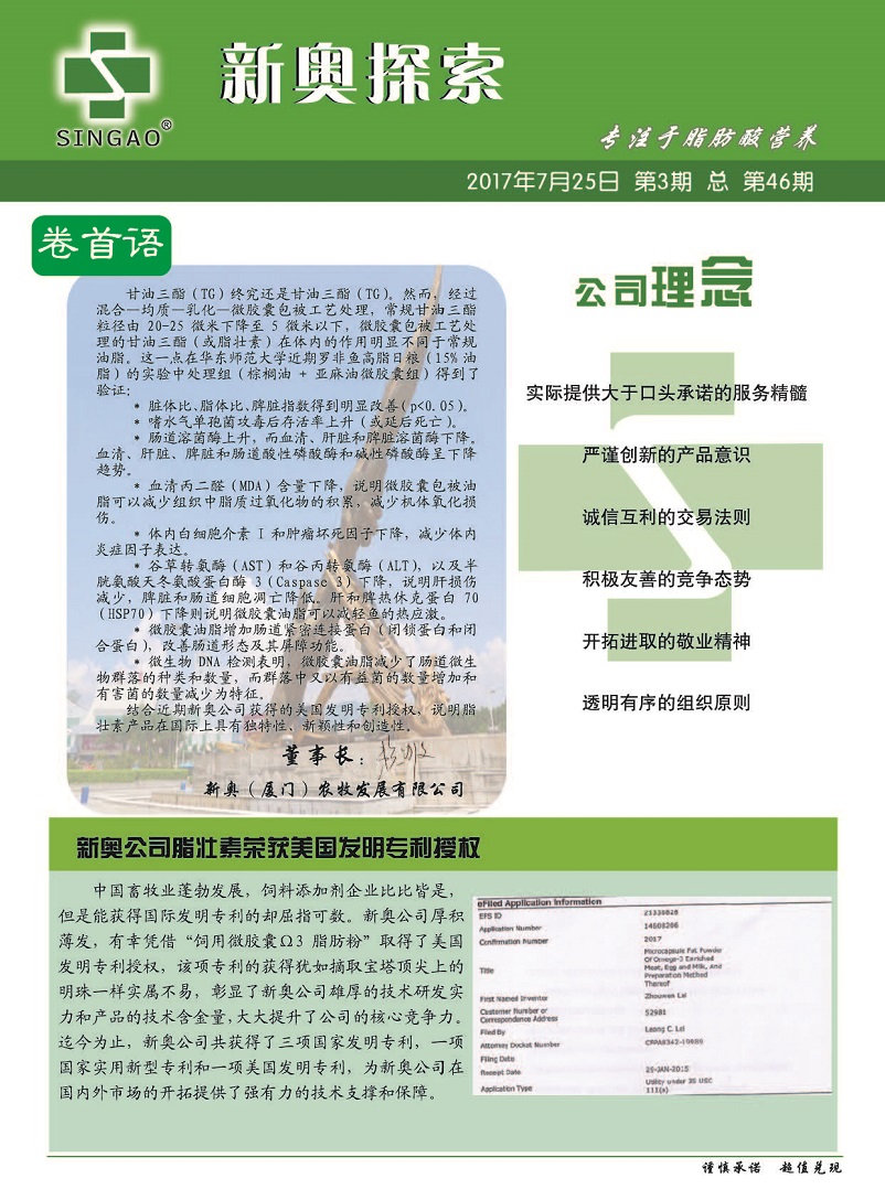 新澳2025正版资料免费公中与全方位释义与落实策略