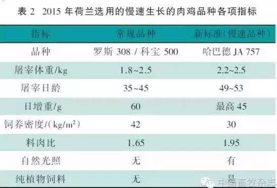 资讯 第2255页